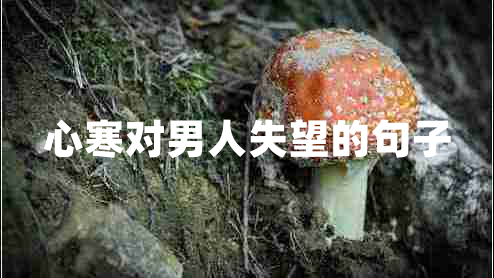心寒對男人失望的句子