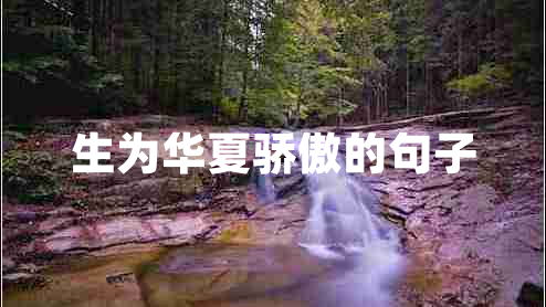 生為華夏驕傲的句子