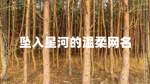 墜入星河的溫柔網(wǎng)名