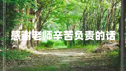 感謝老師辛苦負(fù)責(zé)的話