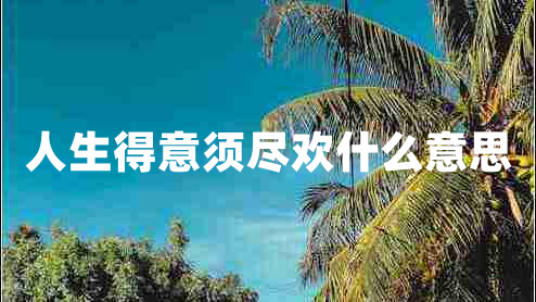 人生得意須盡歡什么意思 人生得意須盡歡什么意思