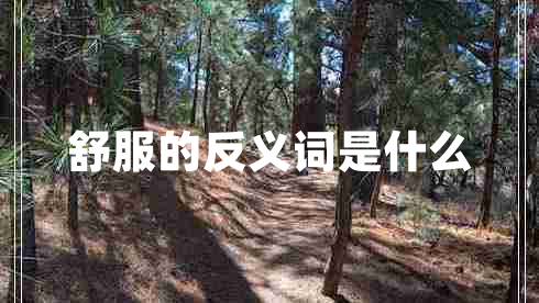 舒服的反義詞是什么