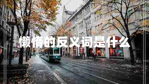 懶惰的反義詞是什么