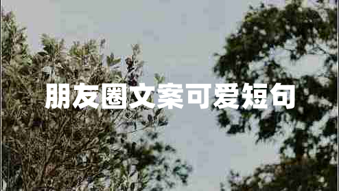 朋友圈文案可愛短句 朋友圈文案可愛短句