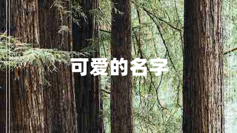 可愛的名字