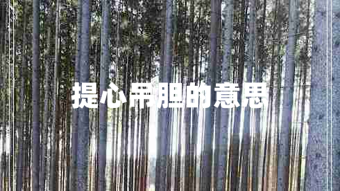 提心吊膽的意思