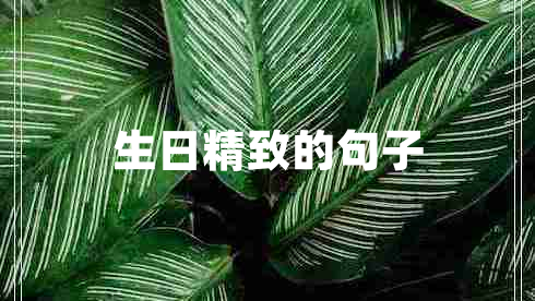 生日精致的句子