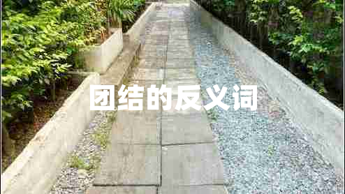 團(tuán)結(jié)的反義詞