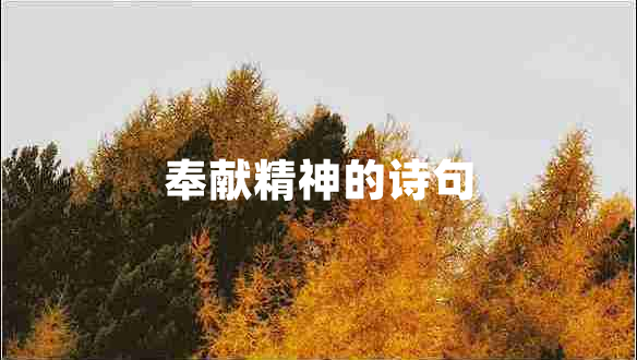 奉獻(xiàn)精神的詩(shī)句