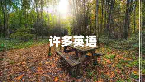許多英語 許多英語