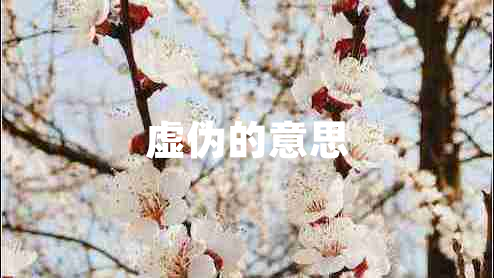 虛偽的意思 虛偽的意思