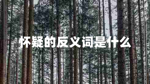懷疑的反義詞是什么 懷疑的反義詞是什么