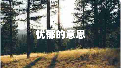 憂郁的意思 憂郁的意思