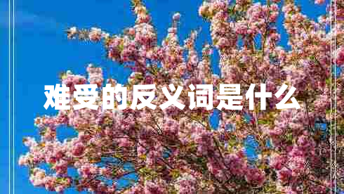 難受的反義詞是什么