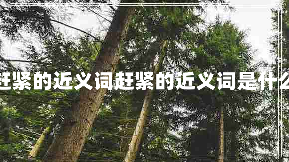 趕緊的近義詞趕緊的近義詞是什么