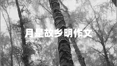 月是故鄉(xiāng)明作文 月是故鄉(xiāng)明作文