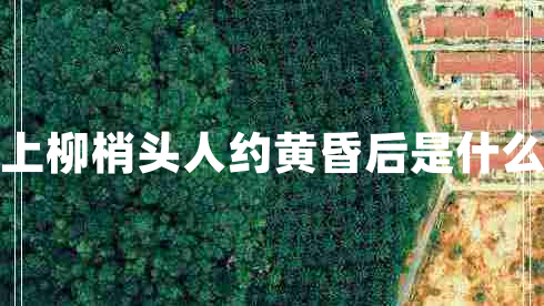 月上柳梢頭人約黃昏后是什么節(jié)