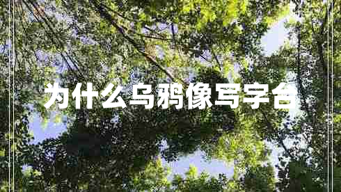 為什么烏鴉像寫字臺(tái)
