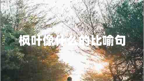 楓葉像什么的比喻句 楓葉像什么的比喻句