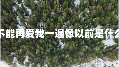 能不能再愛(ài)我一遍像以前是什么歌