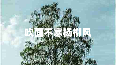 吹面不寒楊柳風(fēng)