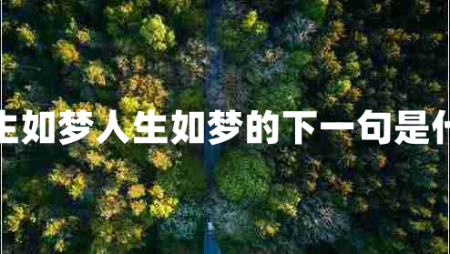 人生如夢人生如夢的下一句是什么