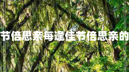 獨(dú)在異鄉(xiāng)為異客每逢佳節(jié)倍思親每逢佳節(jié)倍思親的上一句和下一句是什么