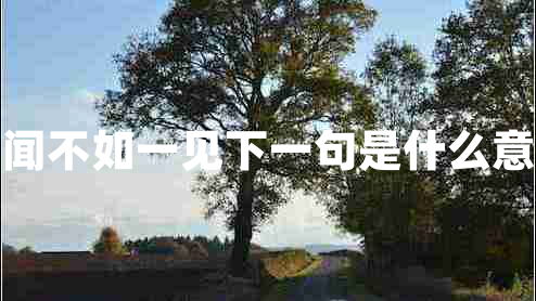 百聞不如一見(jiàn)下一句是什么意思