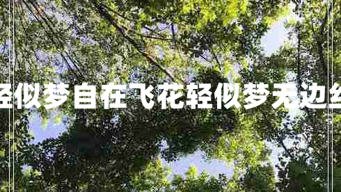自在飛花輕似夢(mèng)自在飛花輕似夢(mèng)無(wú)邊絲雨細(xì)如愁