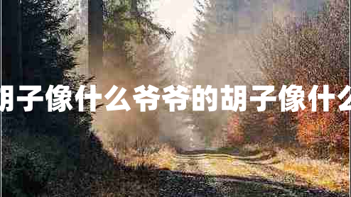 胡子像什么爺爺?shù)暮酉袷裁? title=