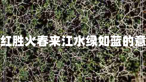 日出江花紅勝火春來江水綠如藍(lán)的意思是什么