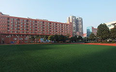 描寫(xiě)小學(xué)校園的作文250字