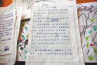 我的校園有什么變化作文四百字