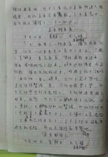 校園春天的小草作文350字