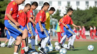 我與校園足球作文800