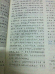 校園自律作文400