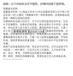 校園里花果桐樹作文300個字