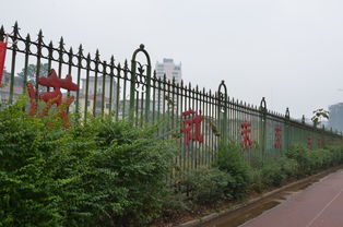 移步換景的校園寫(xiě)景作文