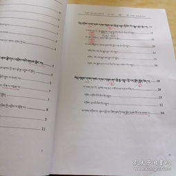 描寫西南民族大學(xué)校園的作文