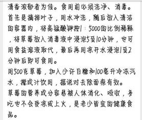 校園300字作文運(yùn)用說明