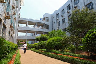 新昌城關(guān)中學校園環(huán)境的作文