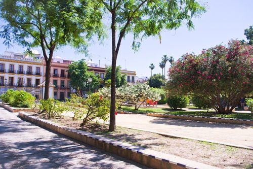 保護校園環(huán)境的大學(xué)作文