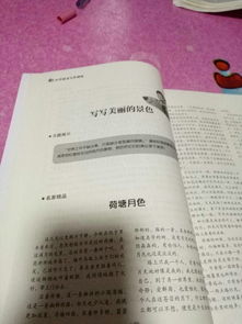 作文,家鄉(xiāng),校園