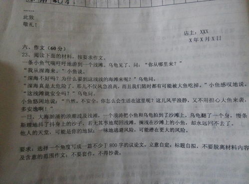 談校園暴力議論文800字作文