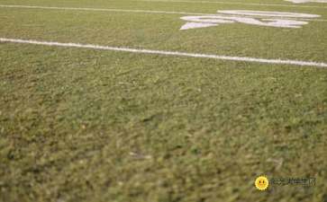 我的校園作文在操場(chǎng)上的事件