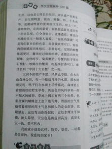校園美麗的地方作文300字左右
