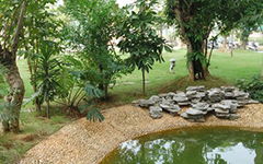 小學200字作文校園一角