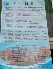 河北區(qū)紅權小學校園作文