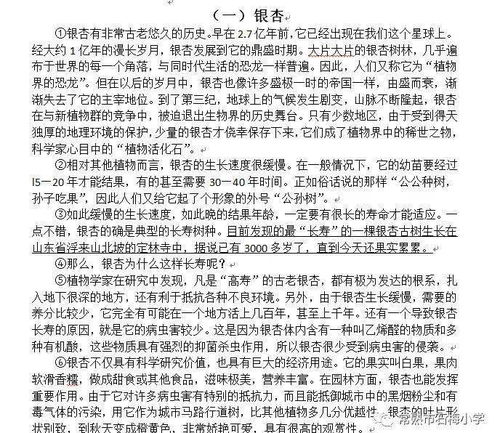 校園里那到亮麗的風景線作文400字