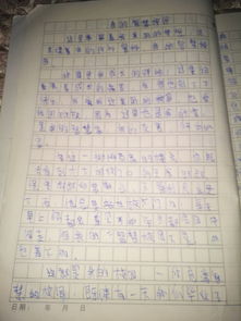 我的智慧校園作文6oo